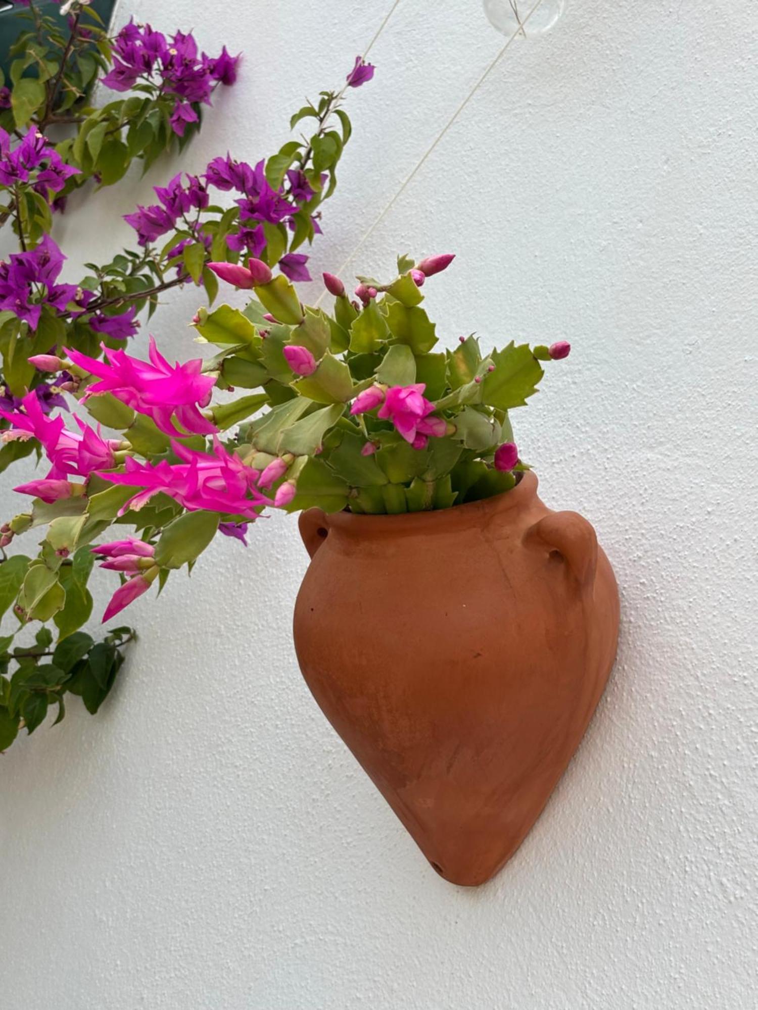 Casa Alta B&B Torrox Exterior photo